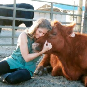 Michelle Cehn and Rescued Cow at Preetirang Farm Sanctuary