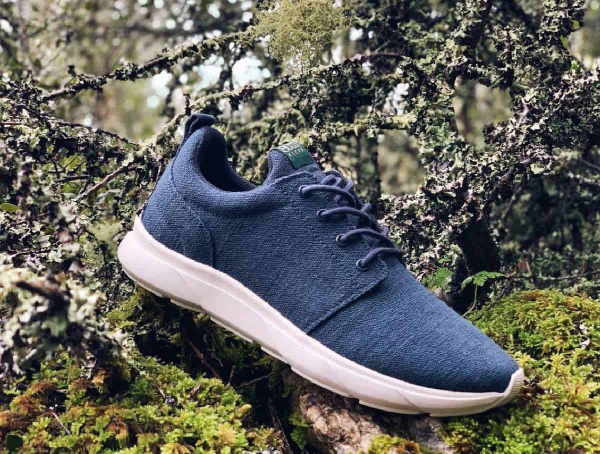 A navy blue hemp 8000kicks sneaker with white sole on a mossy, outdoor background.