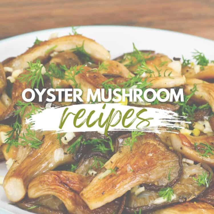 Best king trumpet tree oyster mushroom recipes.