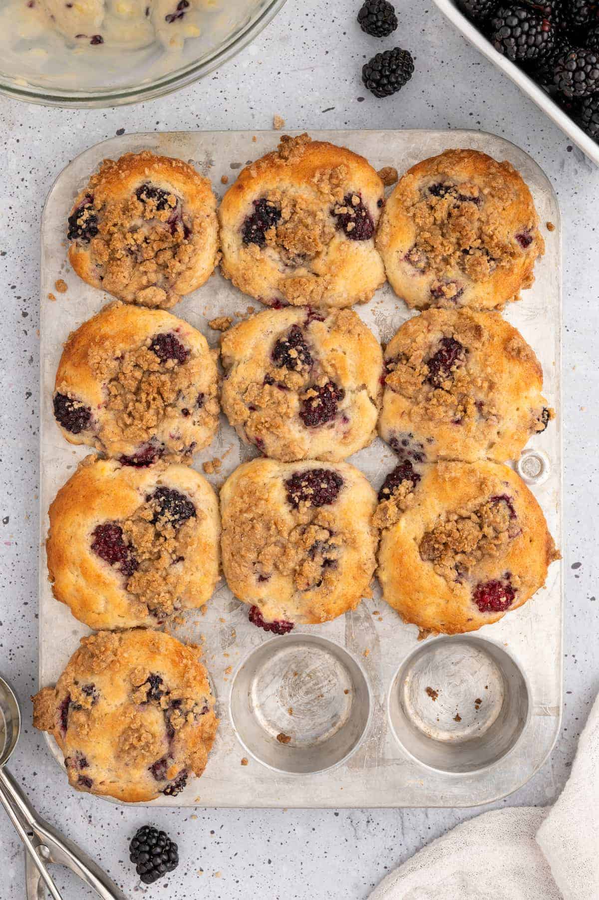Vegan blackberry muffins, baked in a muffin tin.