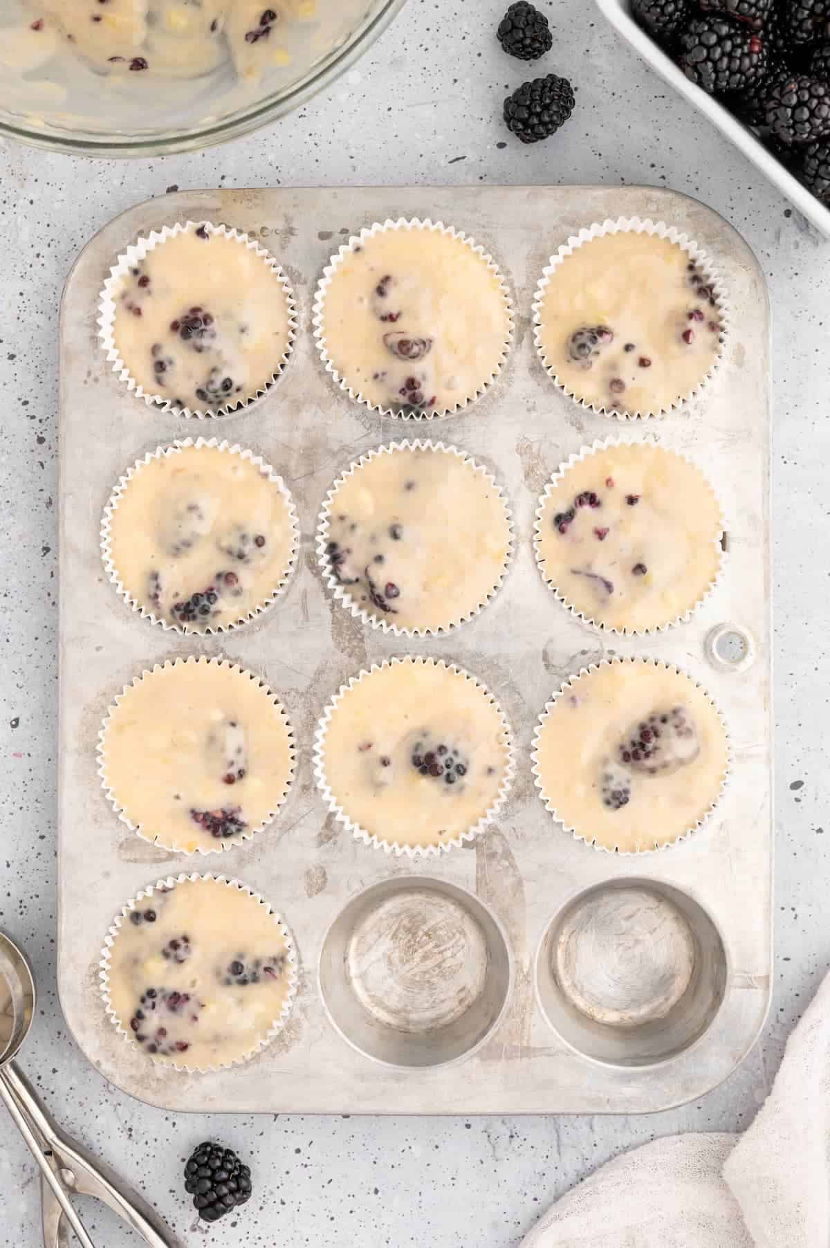 Blackberry muffin batter in a muffin tin.