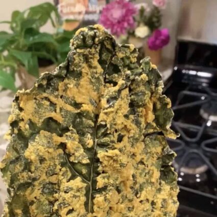 cheezy vegan kale chips with nutritional yeast
