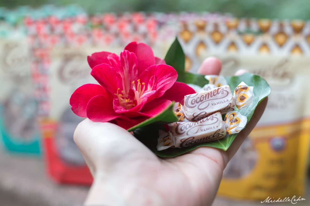 Women's hand holding out two vegan caramels wrapped in wrappers from Cocomels in Valentine's Day setting.