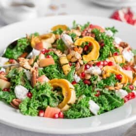 delicata squash harvest salad