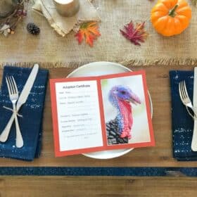 A photo of a rescued turkey from Farm Sanctuary on a Thanksgiving dinner table showing the Adopt a Turkey program.