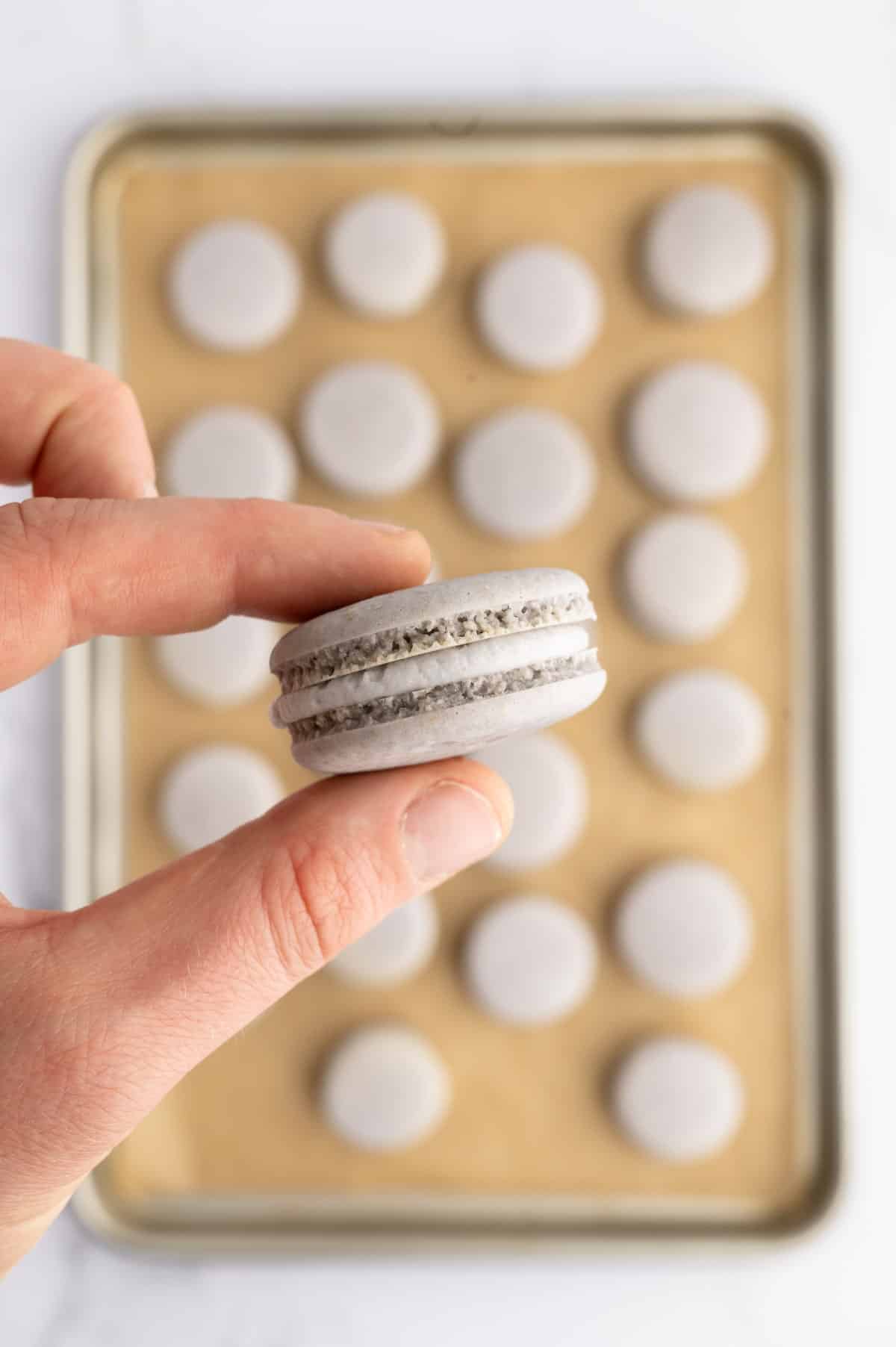 A hand holding up a finished vegan macaron cookie sandwich filled with buttercream frosting.