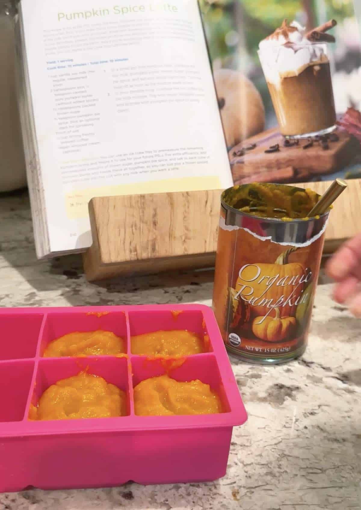How to freeze pumpkin puree from a can in silicone molds. 