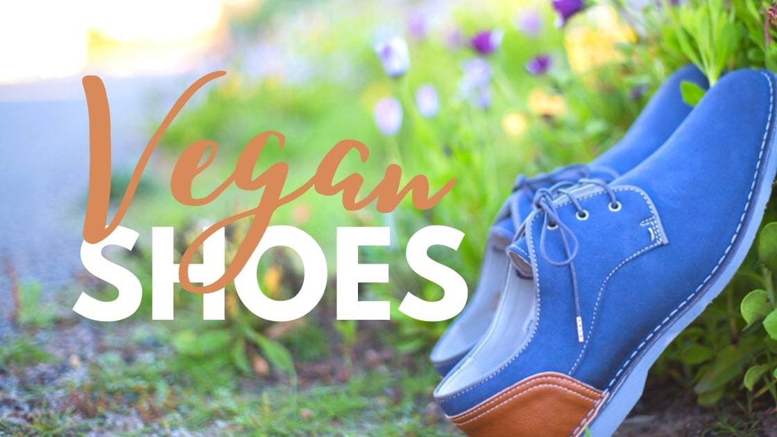 Guide to Vegan Shoes with men's manmade blue suede dress shoes in a garden. 