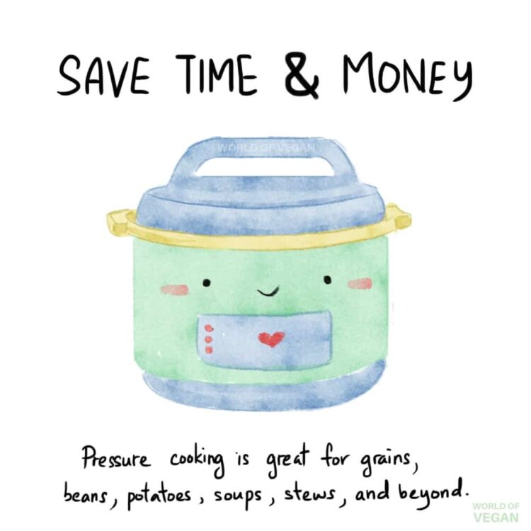 Instant Pot Art Save Time and MoneyWorld of Vegan