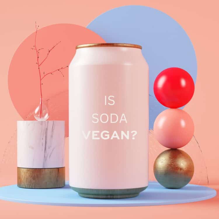 Photo of a pink soda can without brand name and the question "is soda vegan?" written on it.