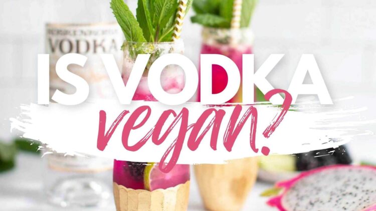 is vodka vegan guide and brands