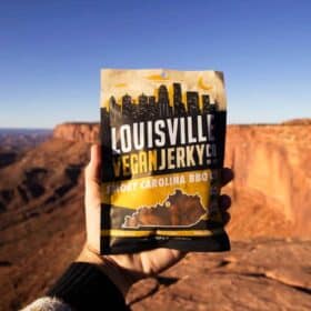 hand holding up a bag of smoky carolina bbq vegan jerky louisville vegan jerky in front of a natural rock formation