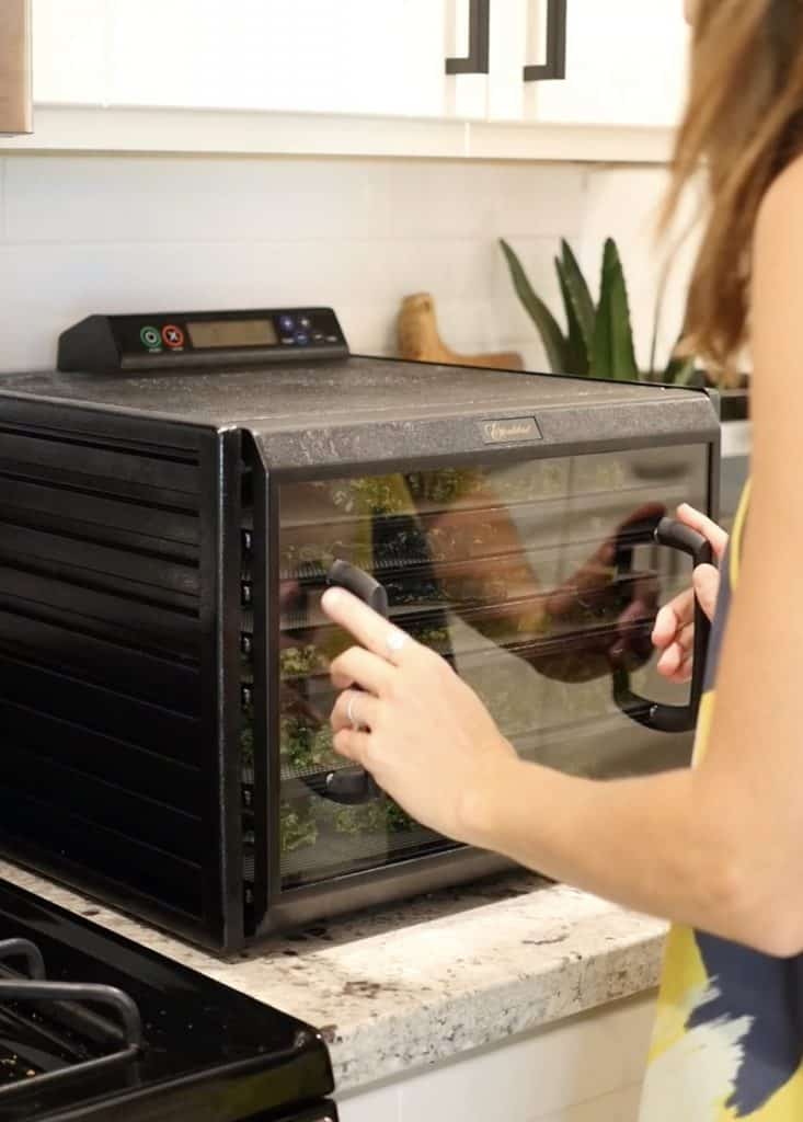 dehydrating vegan kale chips in the excalibur dehydrator