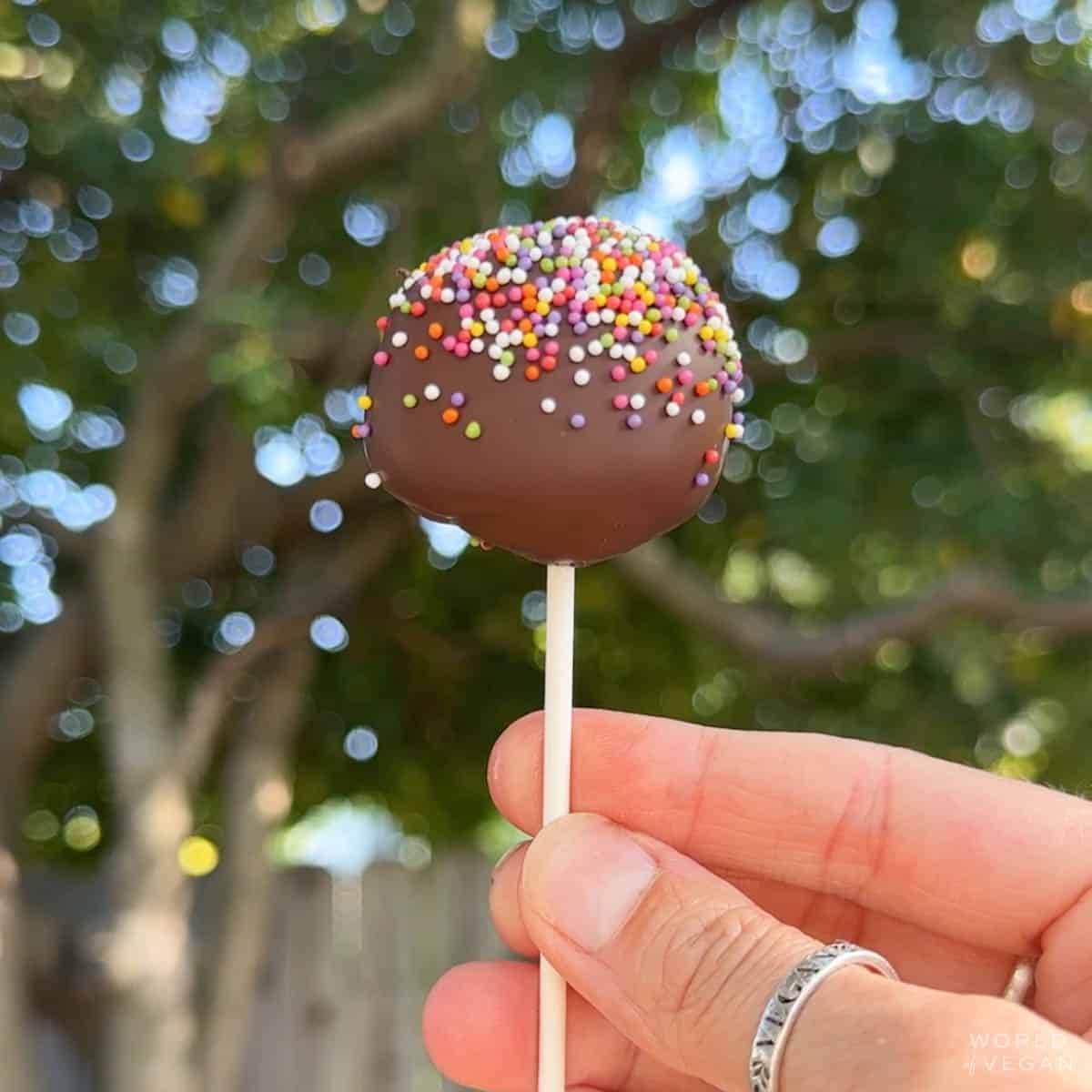 Woman holding a vegan cake pop outside with rainbow sprinkles, with a no-bake cookie dough cake base.