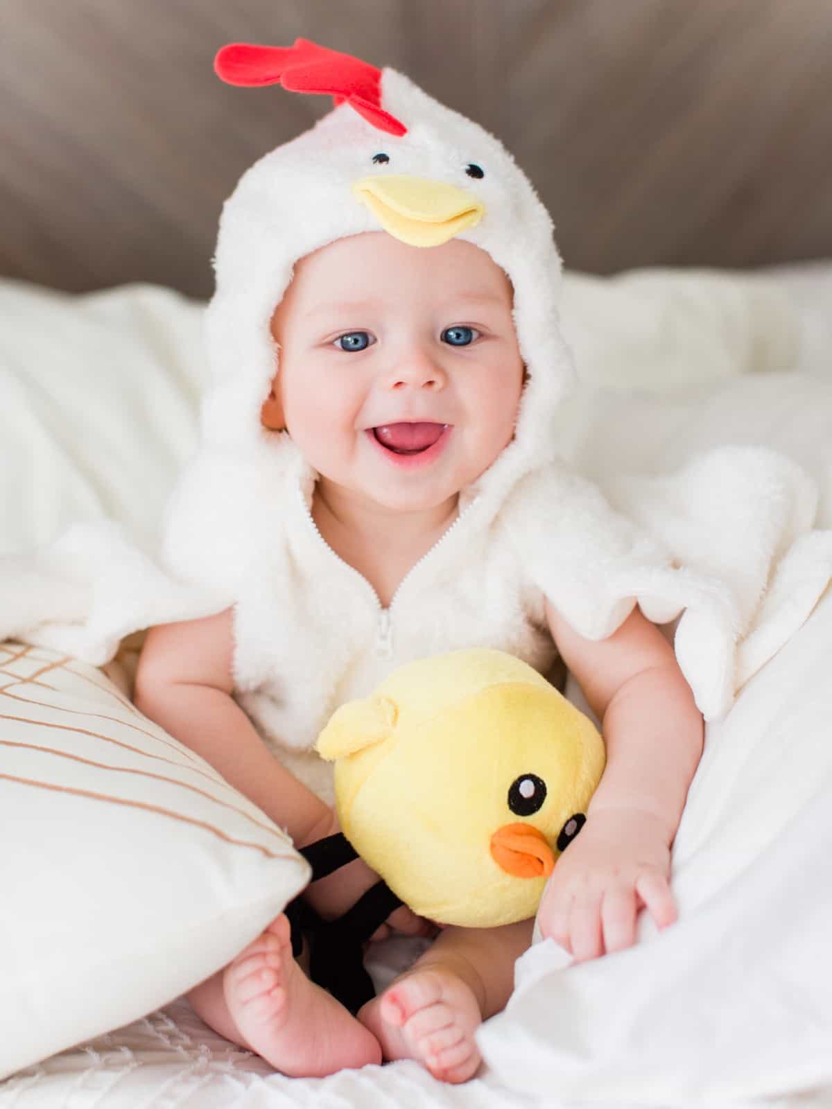 vegan baby wearing a chicken halloween costume with a peta not a nugget stuffed chick