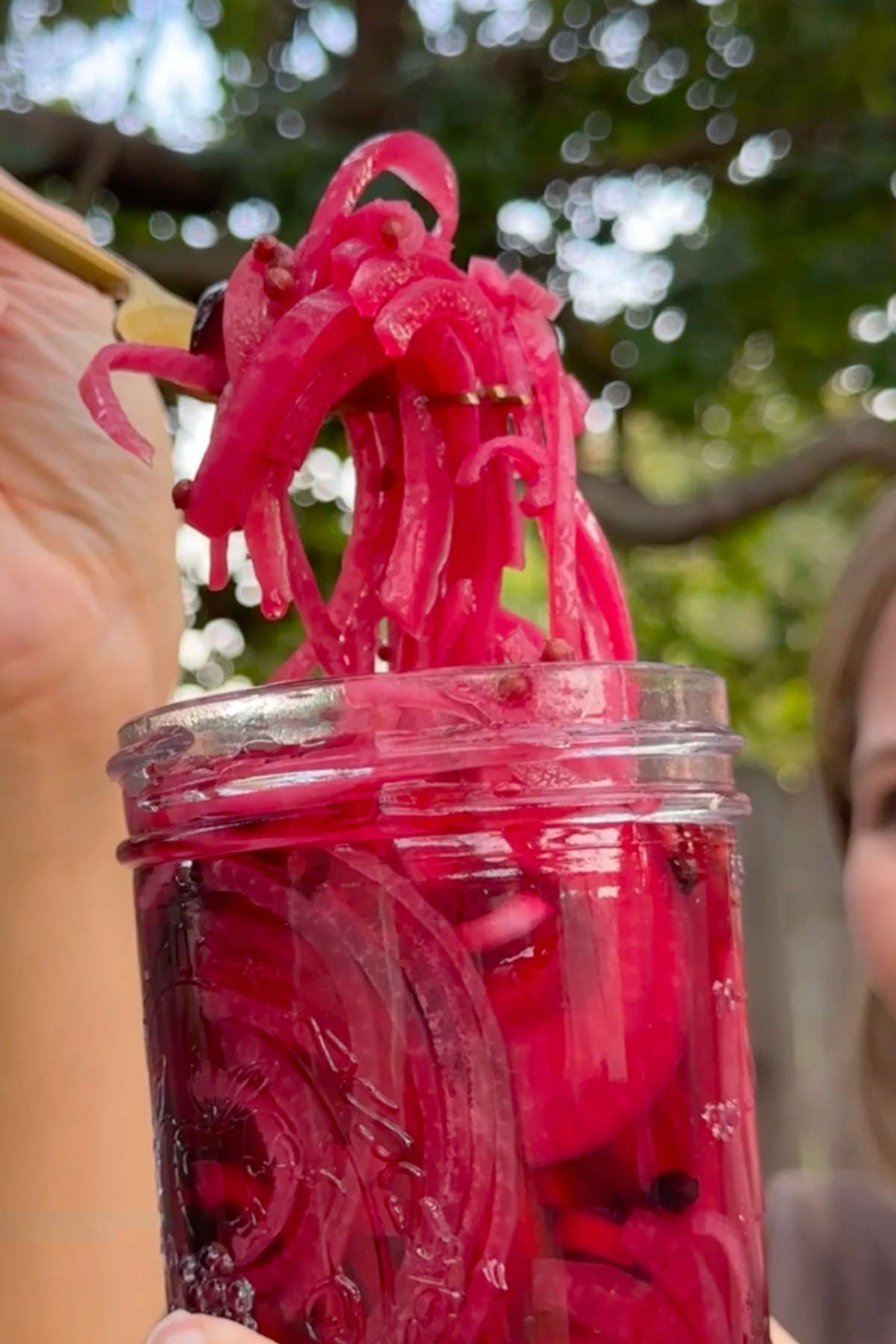 A fork lifting pickled red onions out of a jar.