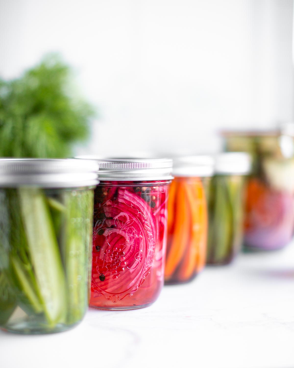 Various jar of pickled vegetables in a row.