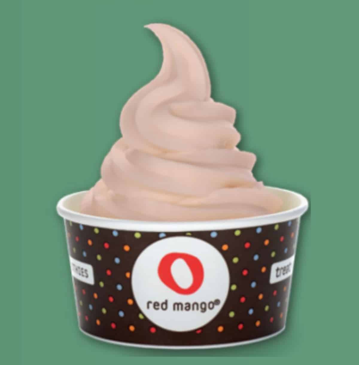 A cup of Red Mango's No Fro vegan frozen dessert.