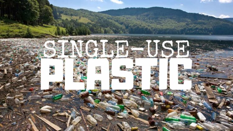 Single use plastic harms animals | World of Vegan | #vegan #plastic #cruelty #oceans #green #worldofvegan