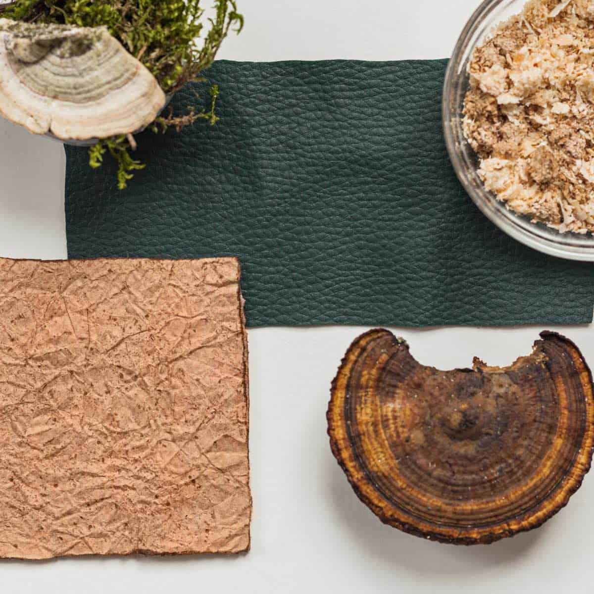 Sustainable eco vegan leather fabric swatches on a table with mushroom.