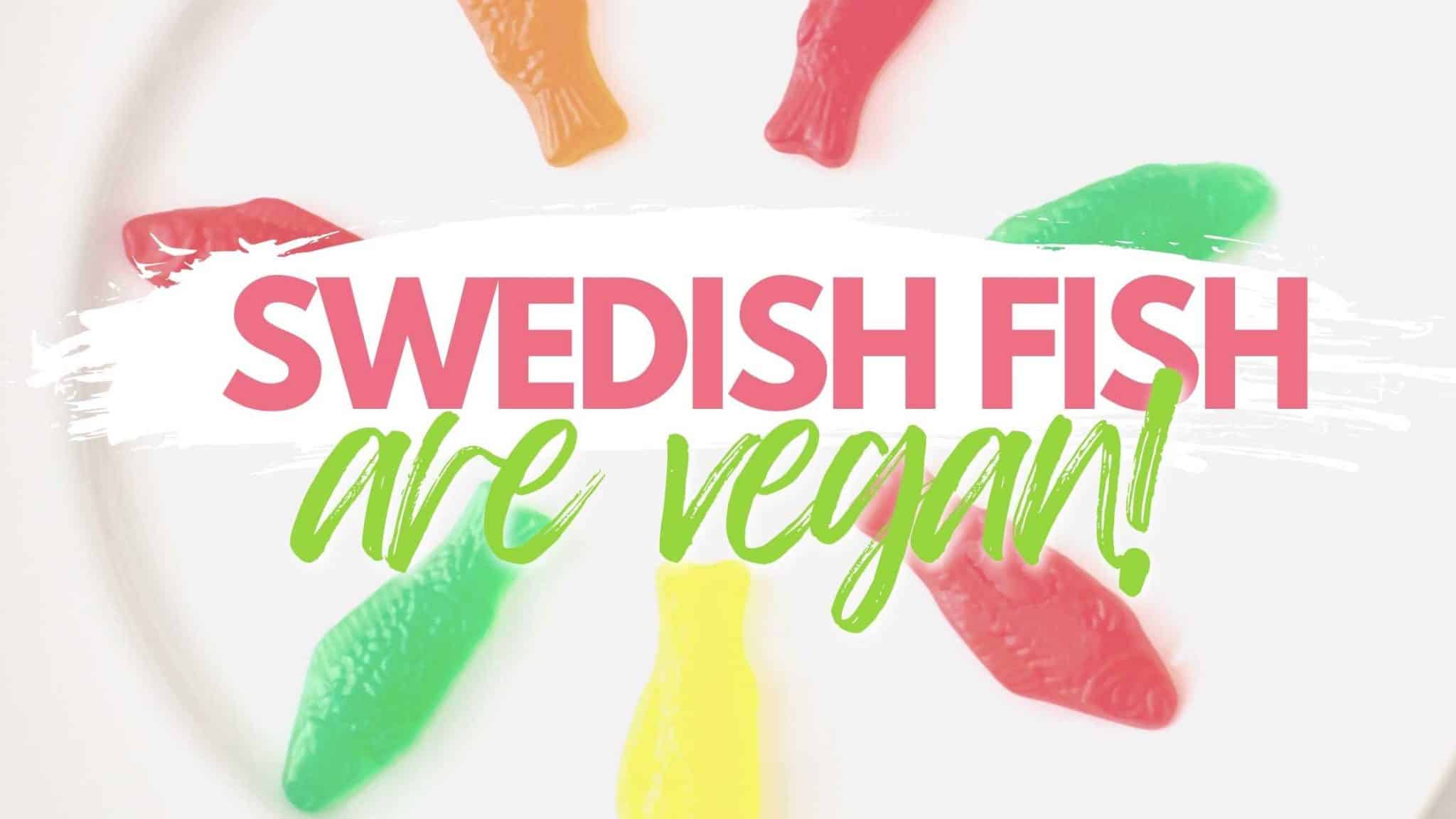 swedish fish are vegan candy graphic