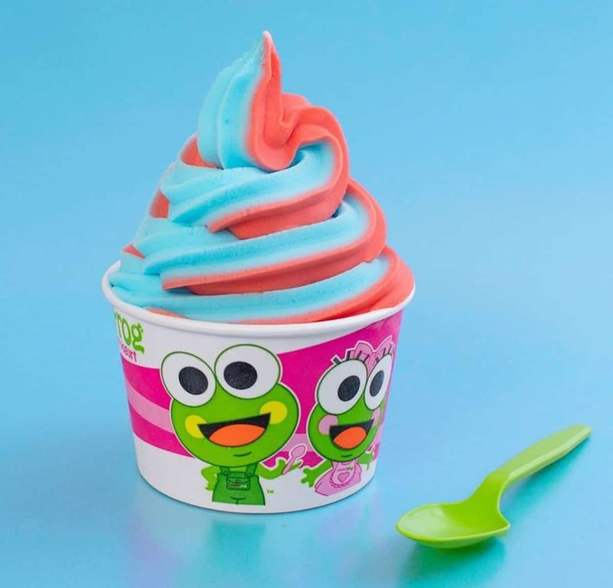 A vegan frozen treat cup from sweetFrog.