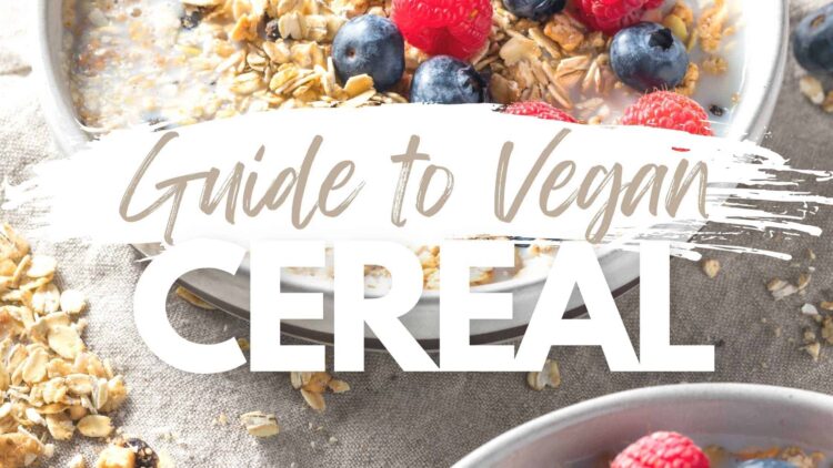 vegan cereal guide and brands list