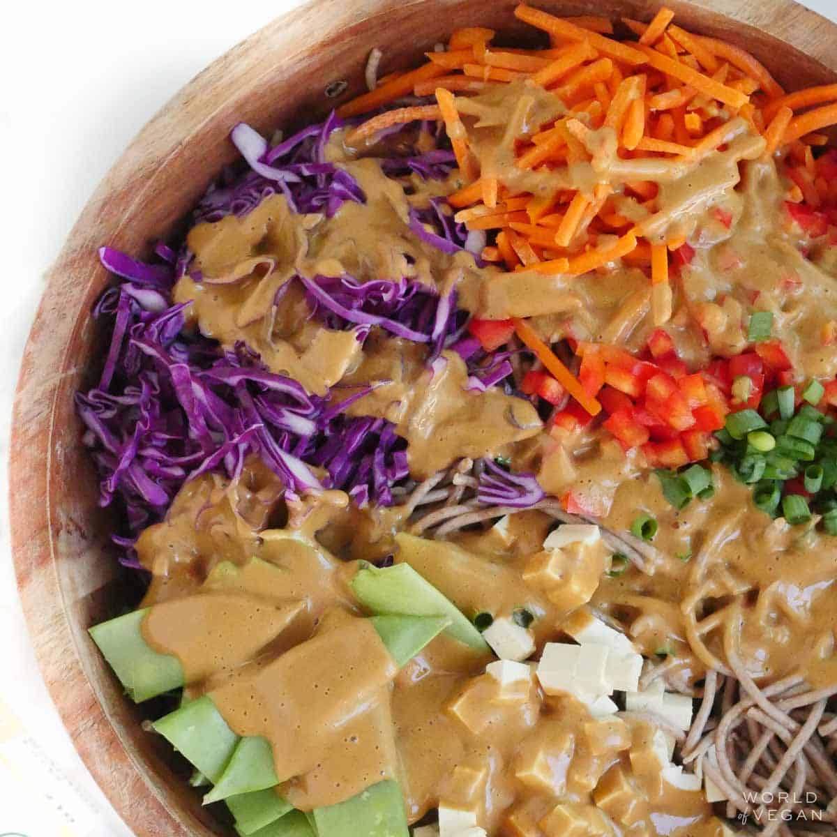 A bowl of cold peanut noodle salad with purple cabbage, carrots, peas, tofu, green onion, and sesame peanut sauce.