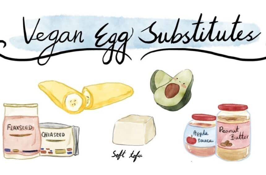 vegan egg substitutes and egg replacer options illustrated graphic