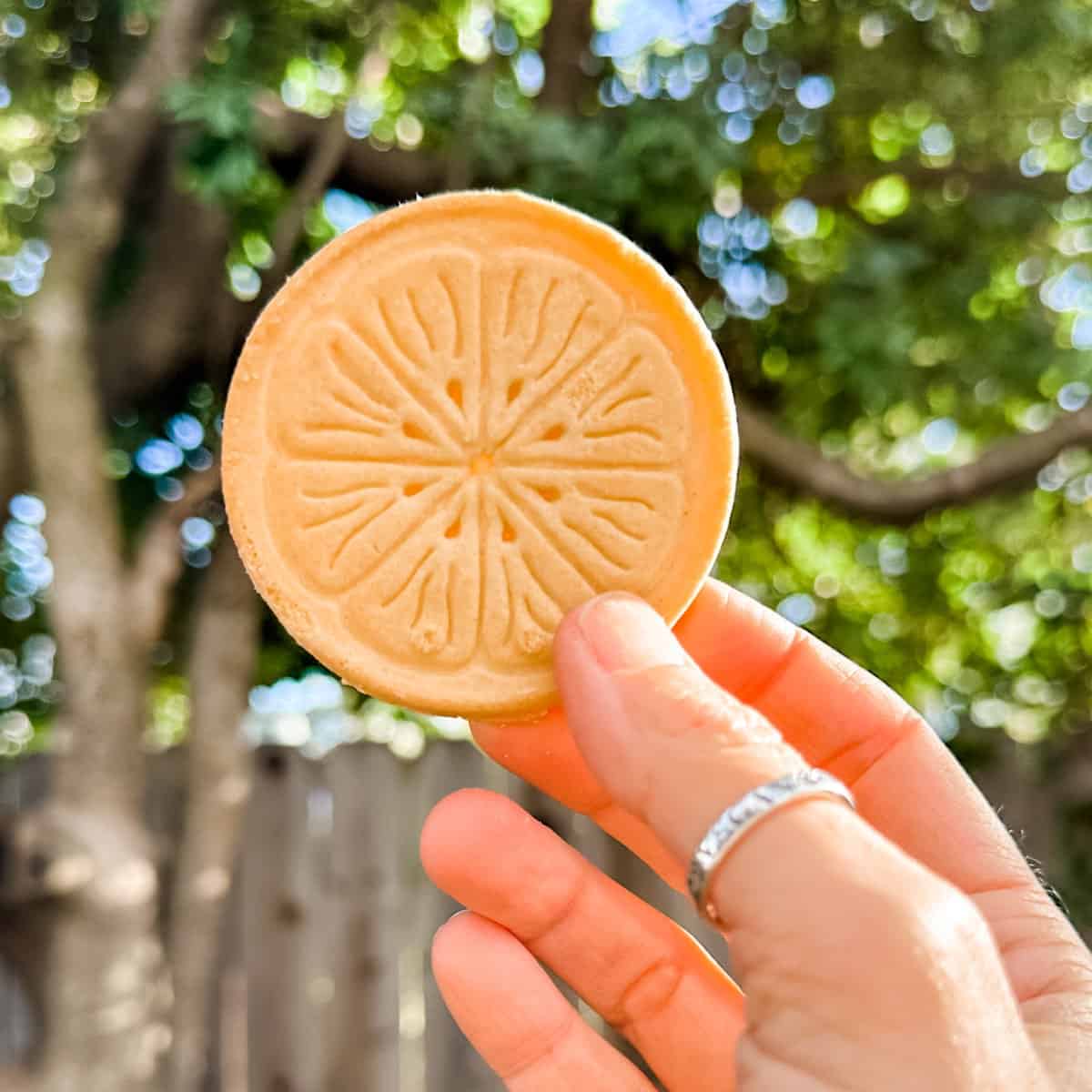 Holding out a vegan Lemonades cookie from Girl Scouts.