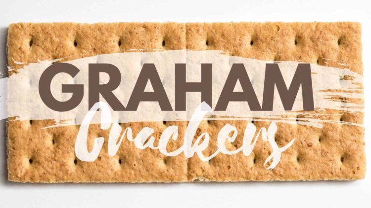 vegan graham crackers photo