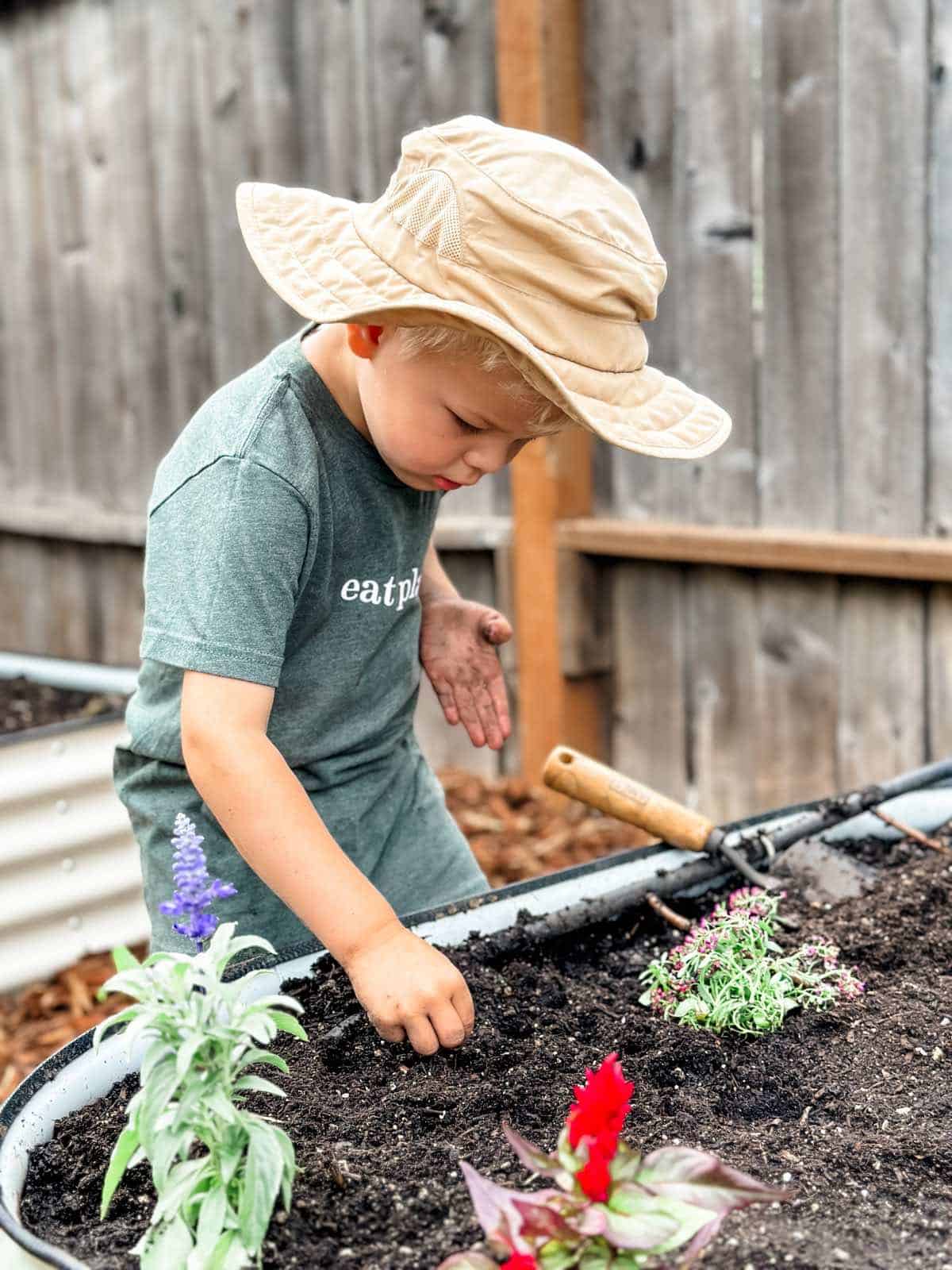 Vegan Kid Graham Miller planting seeds in his newly renovated garden and vego garden bed.