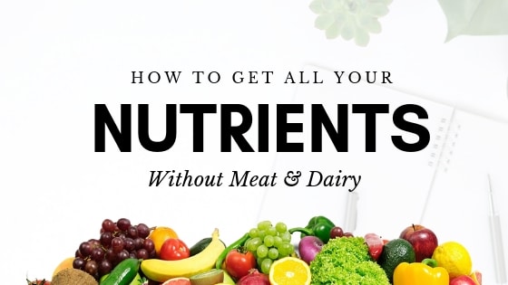 Vegan Nutrition 101: How to Get All Your Nutrients Without Meat or Dairy | WorldofVegan.com