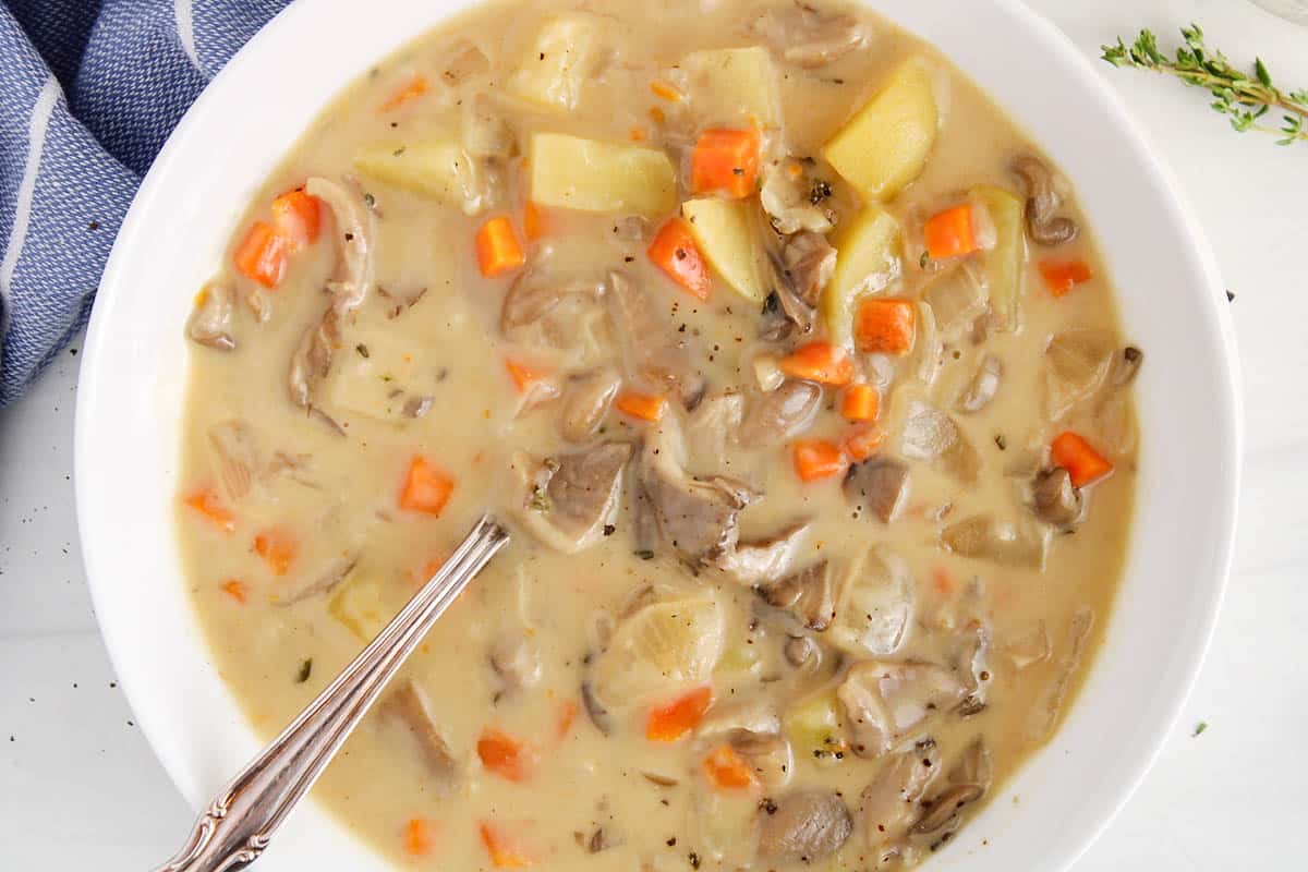 A bowl of creamy oyster mushroom soup.