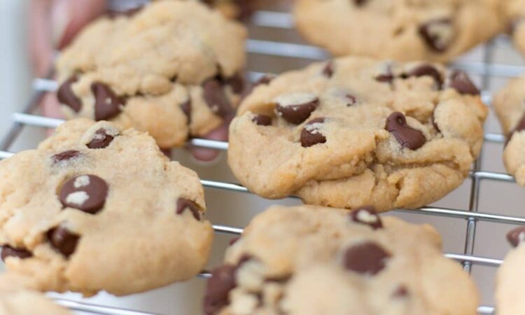 Vegan Peanut Butter Chocolate Chip Cookies on a Cooling Rack