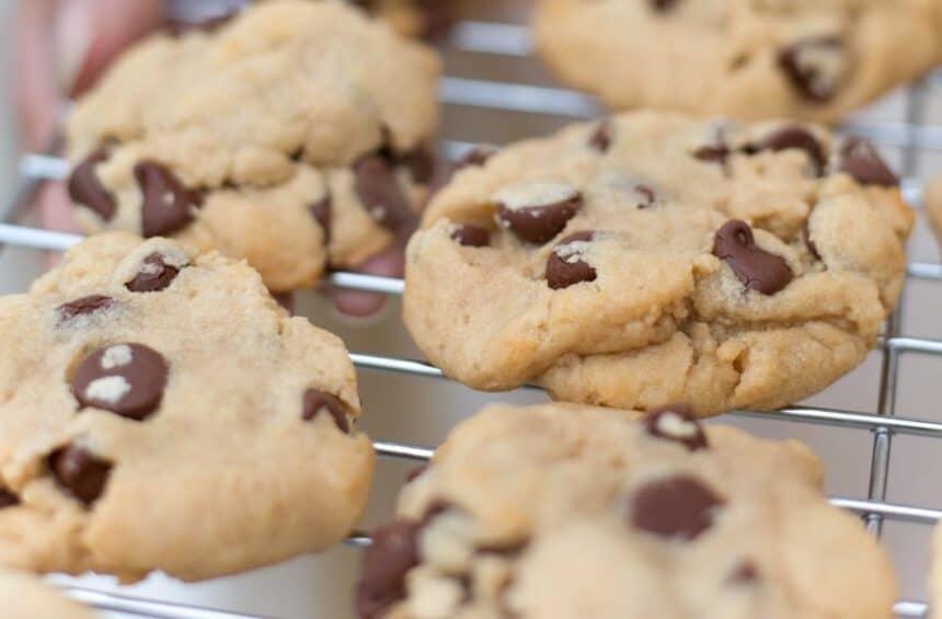 Vegan Peanut Butter Chocolate Chip Cookies on a Cooling Rack