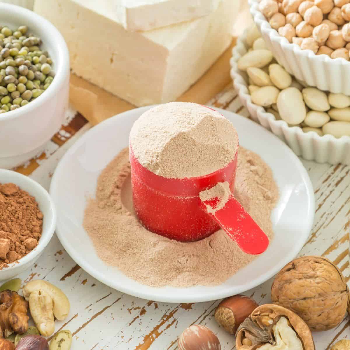 Vegan Protein Powder (Best Protein Sources and Brands)