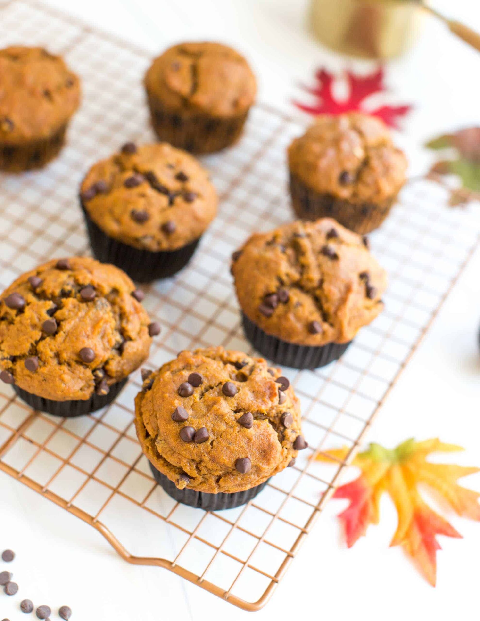 Vegan Pumpkin Chocolate Chip Muffins on a copper cooling rack