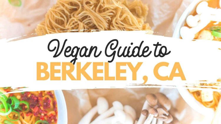 The Ultimate Vegan Starbucks Drinks & Food Guide