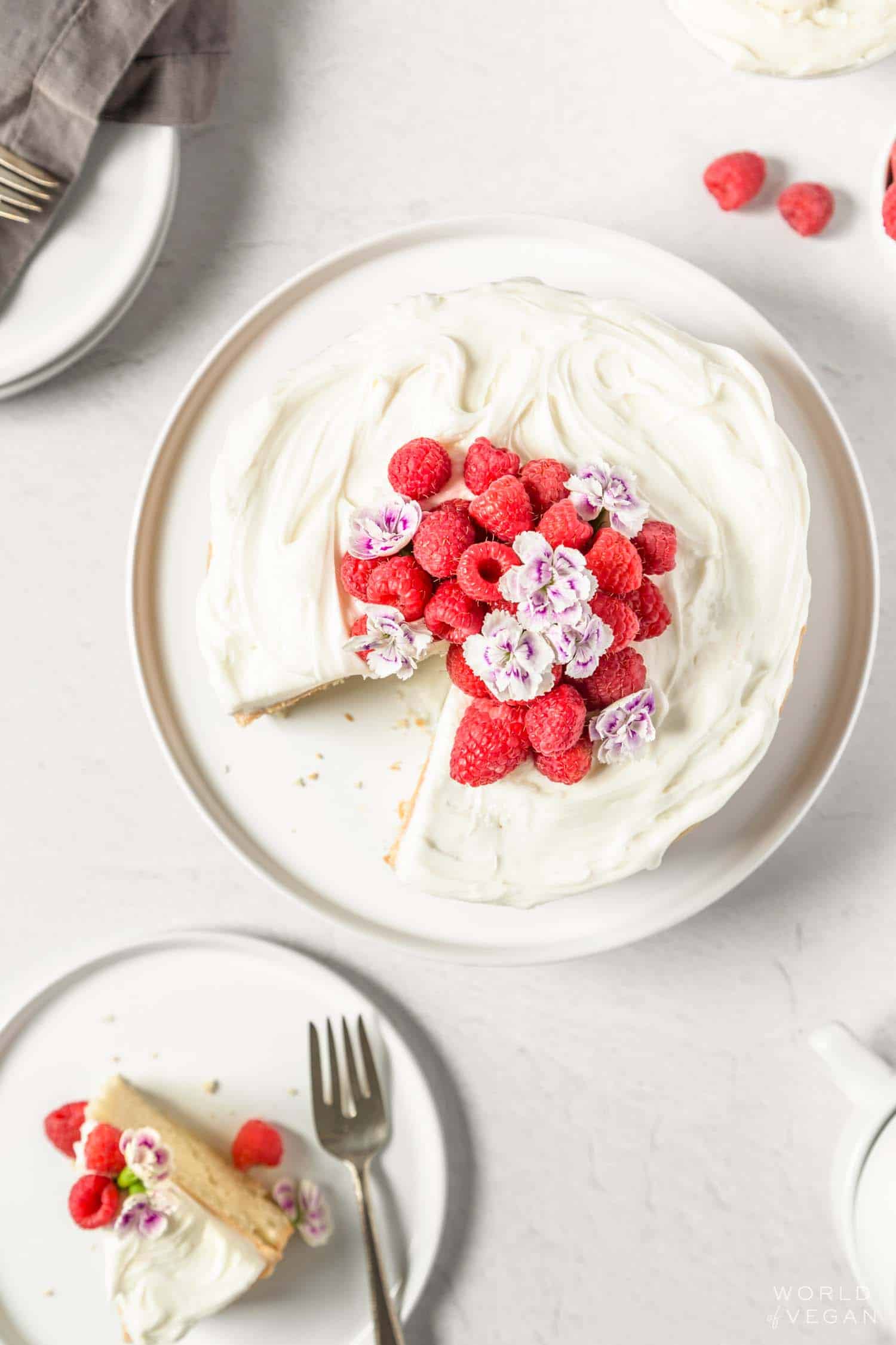 how to decorate a vegan sponge cake with fresh berries and frosting or whipped cream