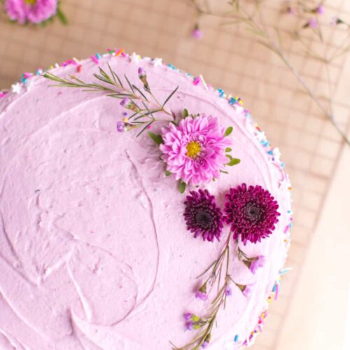 Vegan Birthday Cake With Pink Frosting Photo