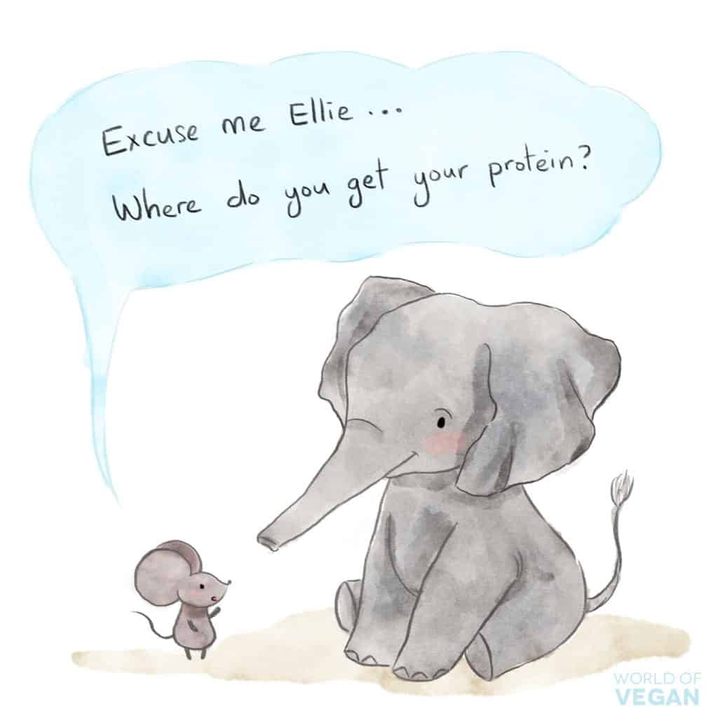 vegan art illustration comic of a large elephant and little mouse saying excuse me where do you get your protein?