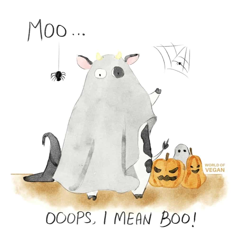 halloween cow dressed as a ghost pumpkins boo