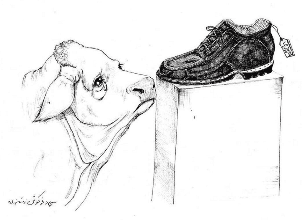 Vegan art showing sad cow looking at a leather shoe that was once her baby.
